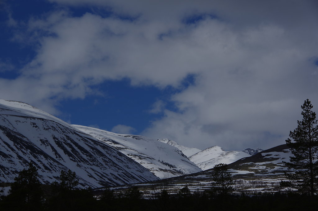 IMG23815.JPG
