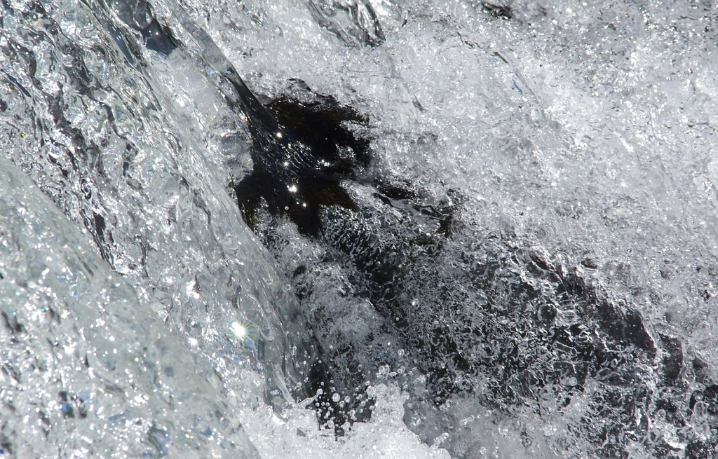 Wasser