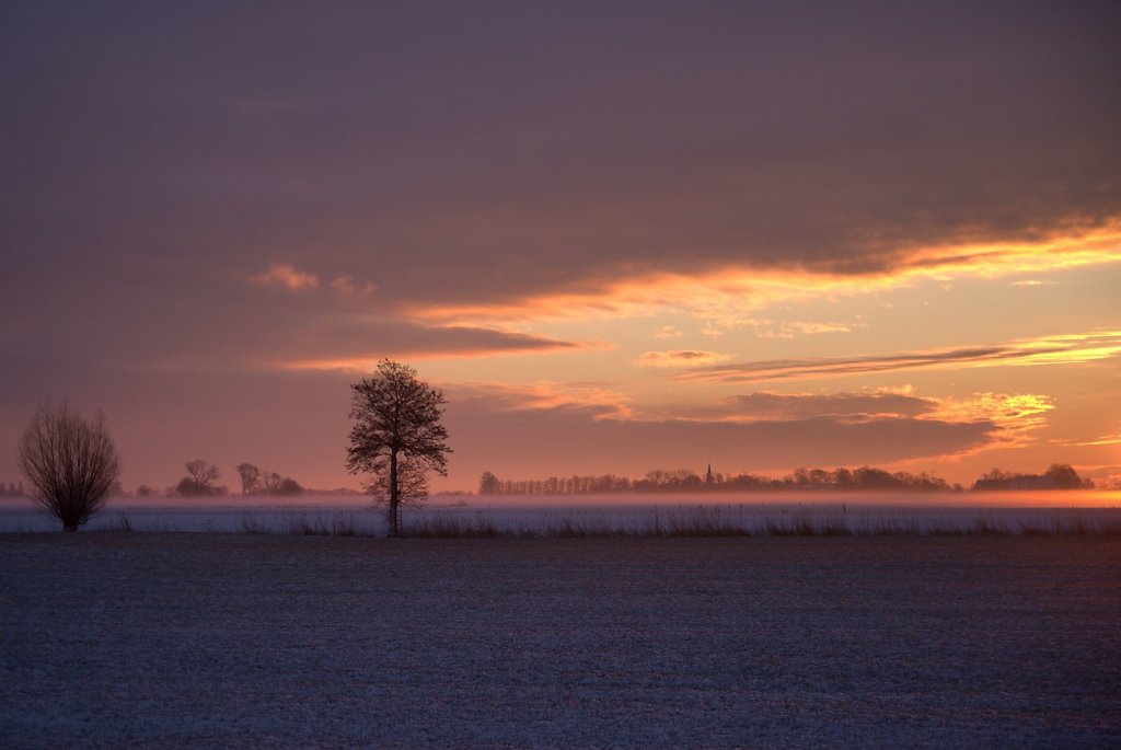 Morgenstimmung