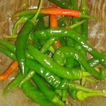 Chili-Ernte