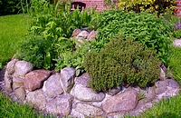 Kräuterspirale
