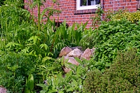Kräuter