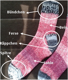 Aufbau einer Socke