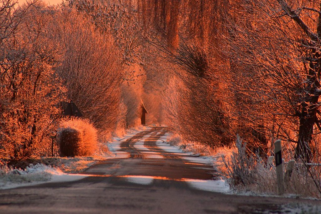 Die Straße lang beim Sonnenuntergang 1