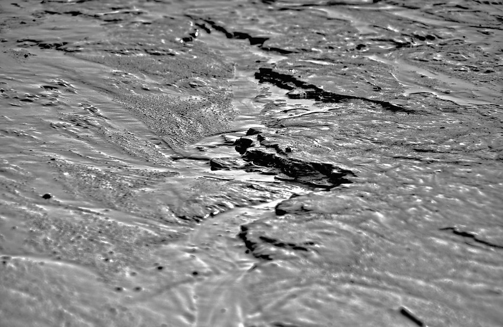 Wasserlauf im Uferschlamm