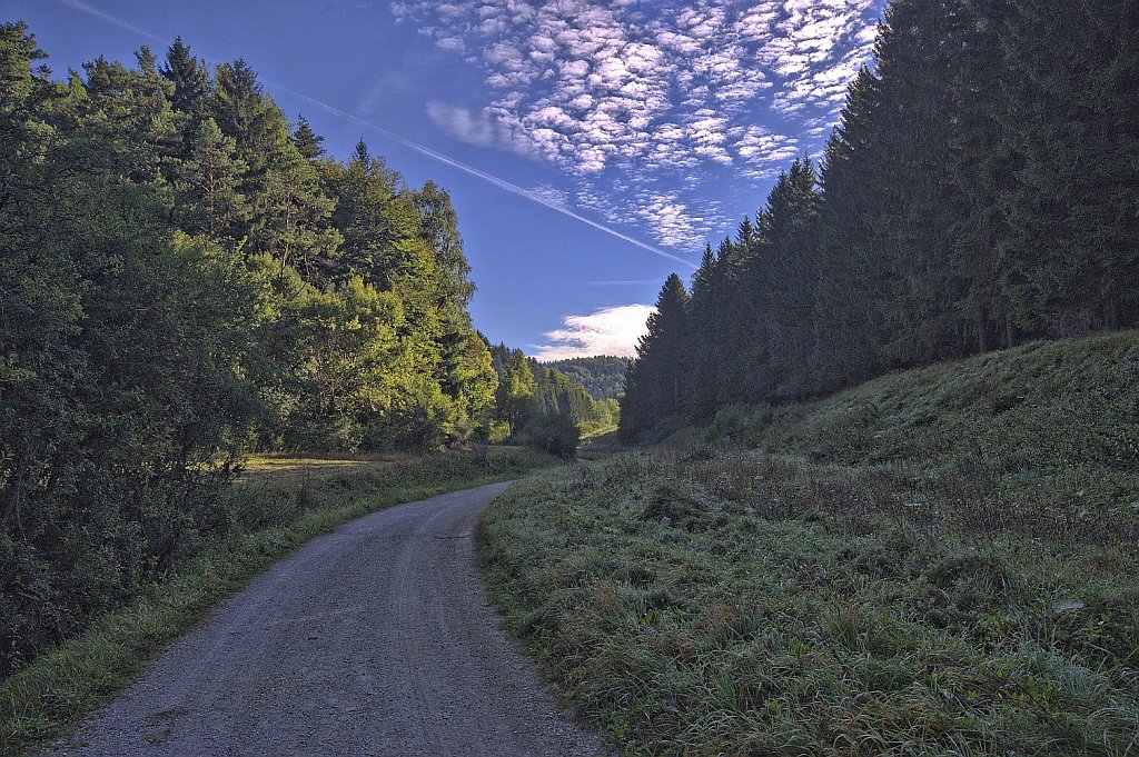 Kurve im Morgenlicht