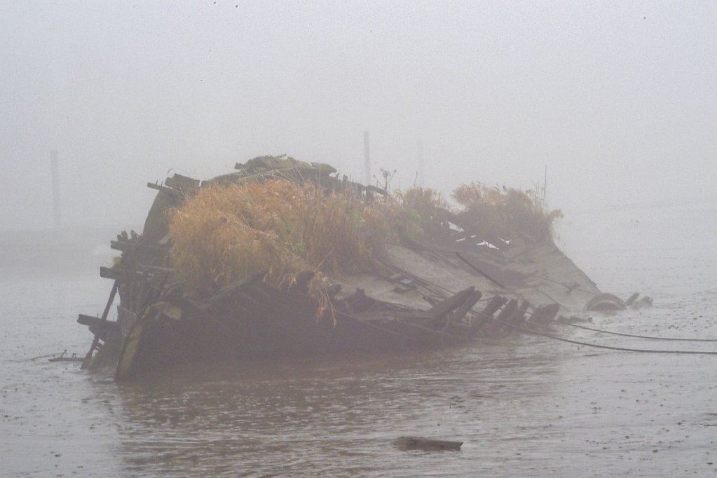 Das Wrack im Nebel
