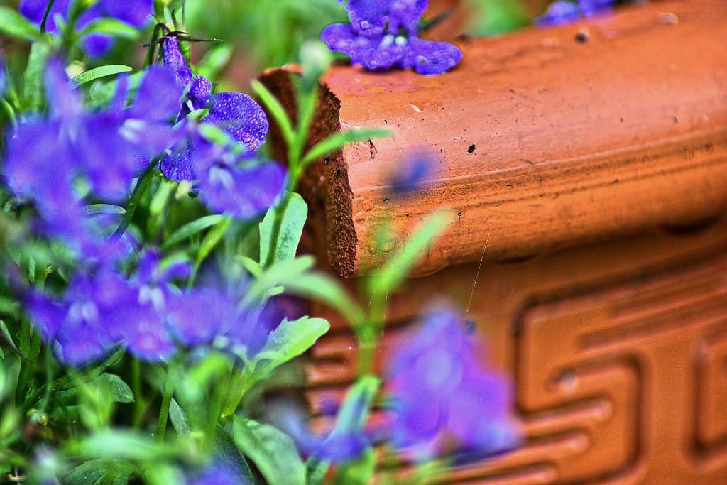 Terracotta