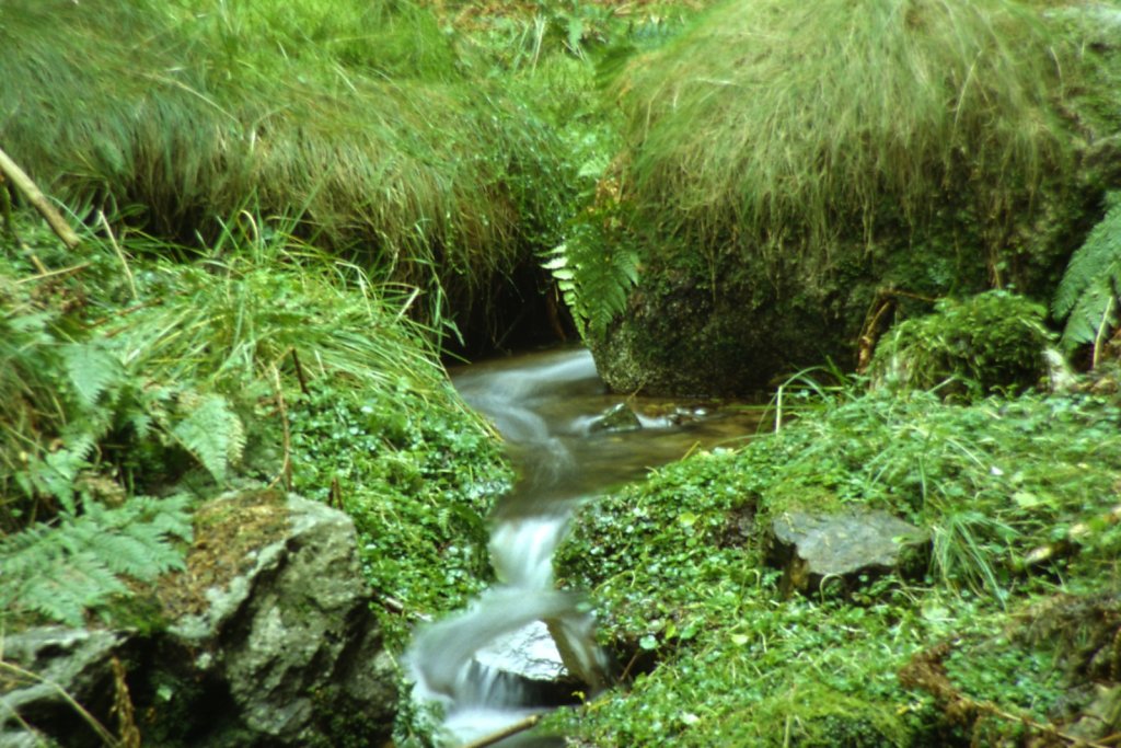Wasserlauf