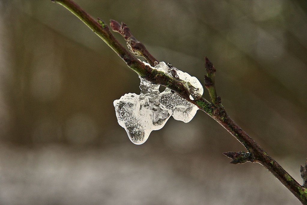 Eisskulptur