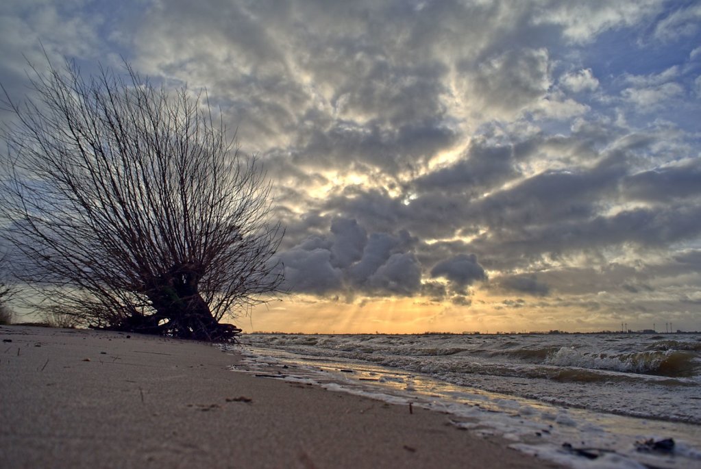 Wolkenwesen